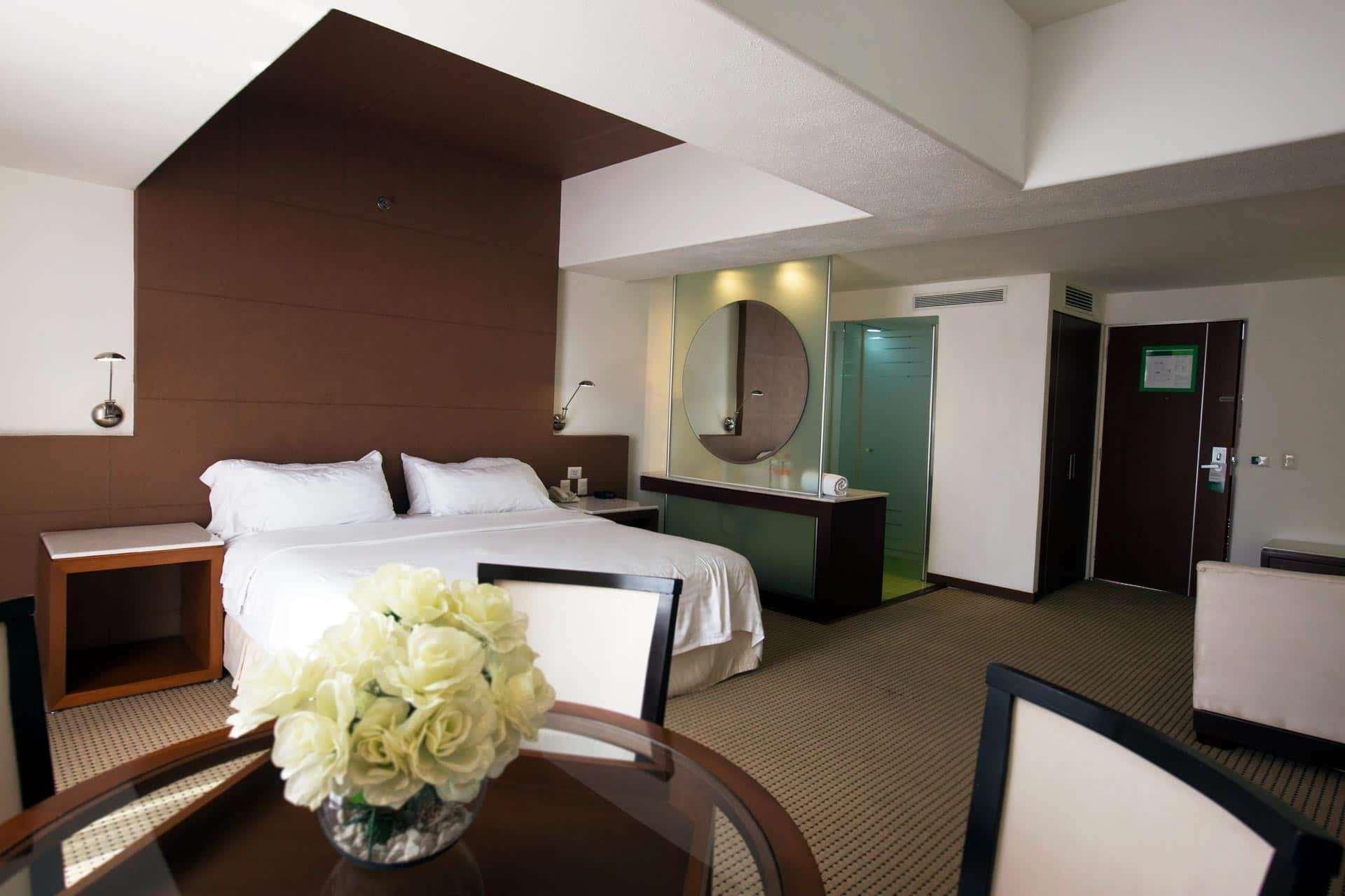 Hotel & Suites Bel Air Business Саламанка Екстериор снимка